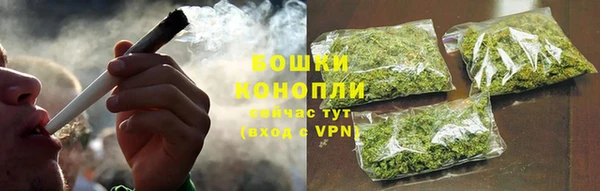ГАЛЛЮЦИНОГЕННЫЕ ГРИБЫ Рославль